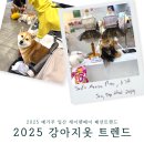 (주) 트렌드펫 이미지