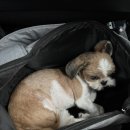 광명파워점프태권도장 | 바뀔 수도, 파괴할 수도 없을 것 같았지