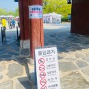 신이 난다 난타 | 남원)2026 남원춘향제 광한루원 무료입장 먹거리추천 축제후기