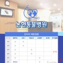 논현 켄넬 이미지