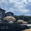 태안 안면도 애견펜션 - ‘꿈꾸는 다락방’ 다녀온 후기, 시설, 수영장