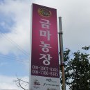 안집농장 이미지