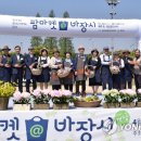 팜마켓