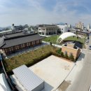 강진오감통 이미지