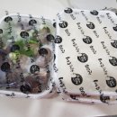 옥길동 744-2 이미지