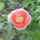 드림택시협동조합 이미지