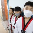 브레인박사 태권도장 이미지