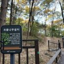 우면산3-19 이미지