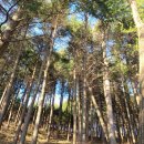 화지산 체육시설 이미지