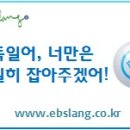yam pet 이미지