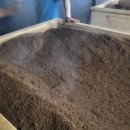 효소지음 이미지