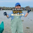 태안 여행 해루질 별주부체험마을 맛조개 독살체험 우럭 잡았어요!
