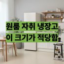 330 | 자취 냉장고 추천 PLX-RF330BG 후기 330L 냉장고로 용량이 딱