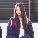 미우미우 이미지