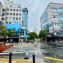 모트헤어 이미지