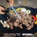 하루축산