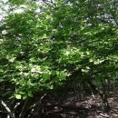 동궁초등학교 이미지