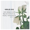 [어머니 하나님 | 국제성경세미나] 화이트 블러드라 불리는 모유의 중요성 – 페루/ 크리스티앙 라울 알바레스 사라비아 | 하나님의교회 이미지