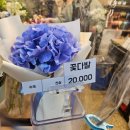 호랭이꽃집 이미지