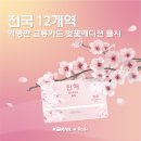 (집)광명동편맞이직영편의점 | 코레일 전국 12개역 역명판 디자인 교통카드 벚꽃에디션 발행(+대전 실물카드 후기)