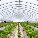 시온금속 이미지