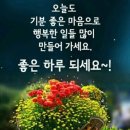 한 주의 시작! 살다 보니 마음 편한 게 좋다 이미지