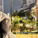 2025 석촌시장 수제맥주 페스타” 맥주축제 즐기고 온 후기 (아트몬스터/더테이블브루잉/버블케미스트리)