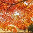 미사경정공원 이미지