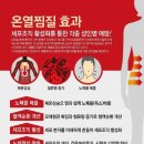 36.5체온다이어트 이미지