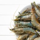 제철태권도 이미지