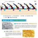 엘도라헤어 이미지