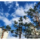 파란메디칼(주) 이미지