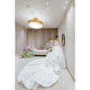 스테이그라피 이미지