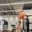 사운드짐매교점 | [수원/인계동] 일일입장이 가능한 천국의 계단 보유 최신 헬스장 "사운드짐 인계매교점"