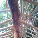 황토방쉼터 이미지