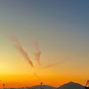 메이필드 호텔 | 호캉스 서울 메이필드 호텔 빌라디럭스 객실 스위트동 후기