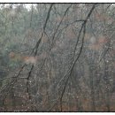 산새랑 게스트하우스 이미지