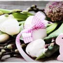 지혜이발관 이미지