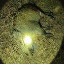 현대2-2차아파트 이미지