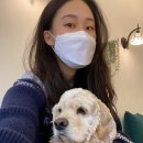 코코다방 이미지