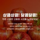 신선한 사과를 고를 때 어떤 점을 체크해야 할까요