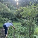 동규농장 이미지