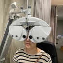 글라스박스안경원 | [천안 안경원] 젠틀몬스터 린드버그 까르띠에 다 있는 글라스박스 천안신부동점 방문기 👓✨