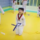 킹 태권도장 이미지