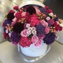 쇼팽피아노학원 이미지