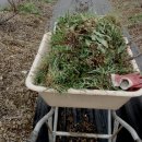 선운 농장 이미지