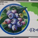 팔덕면사무소 이미지