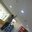 비룡태권도장 이미지