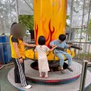 충주라바랜드 | 충주 라바랜드🐛🐛