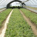 종순농장 이미지